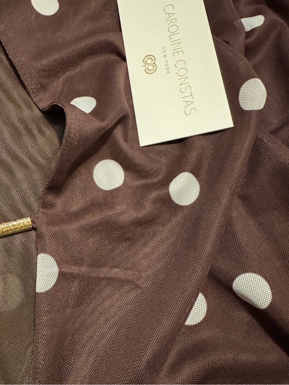 Caroline Constas Sheer Mesh Polka Dot Maxi Dress Gold Hardware (Callout shown) - Picture 2 of 9